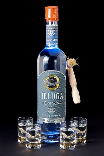 Как отличить поддельную водку Beluga